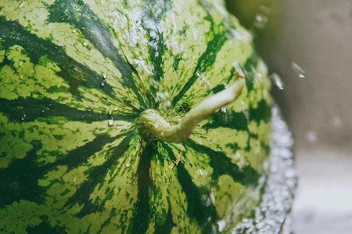 有的人在吃瓜,揭秘网络吃瓜背后的文化现象