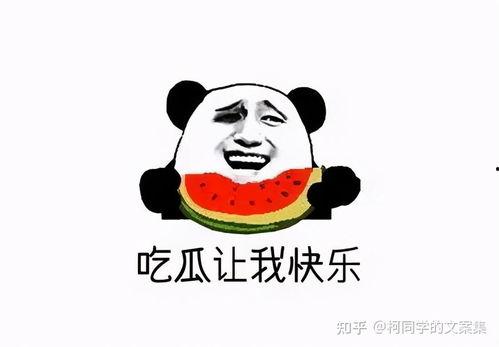 吃瓜嘲讽文案图片,图说网络笑料百出