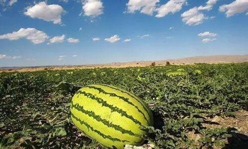 吃瓜四月,盘点娱乐圈热点事件