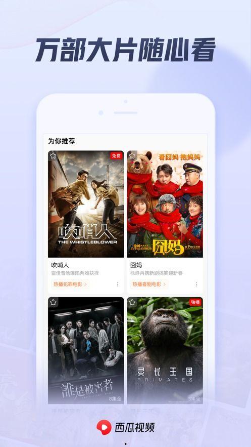 西瓜视频吃瓜哥,揭秘网络热点背后的真相