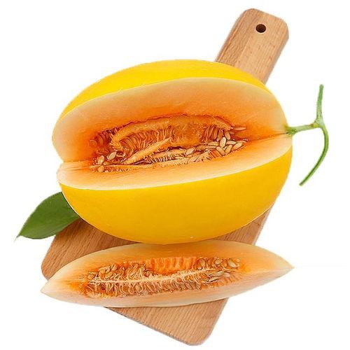 夏天小蜜瓜怎么吃,夏日小蜜瓜的多样食法探索