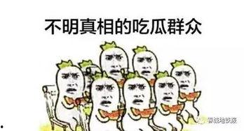 怎么去做吃瓜群众,吃瓜群众的生存指南