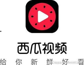 抖音李二萌吃瓜群,揭秘娱乐圈幕后故事