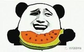 吃瓜群众买瓜看瓜,吃瓜群众买瓜看瓜的欢乐时光