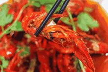 吃龙虾能吃瓜么,吃瓜消暑两不误？