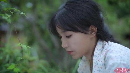 吃瓜说李子柒,吃瓜群众眼中的田园生活艺术家