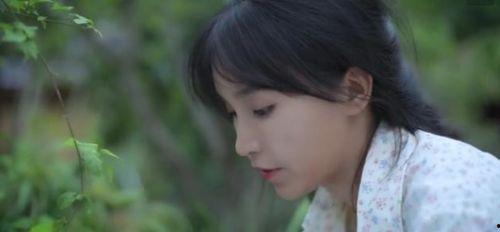 吃瓜说李子柒,吃瓜群众眼中的田园生活艺术家