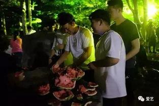 韩城乐队吃瓜事件,揭秘娱乐圈背后的风波与真相