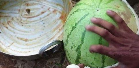 印度大白瓜怎么吃,探索美味与健康的完美融合