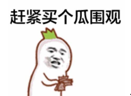 吃瓜群众表情包刘德华,刘德华版，笑翻你的夏天