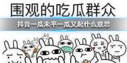 抖音吃瓜前线,揭秘热门事件背后的真相