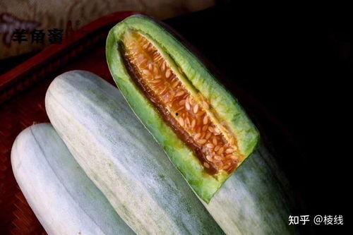 蜜瓜春天吃,春季蜜瓜的甜蜜诱惑