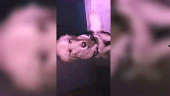 木木吃瓜视频,揭秘娱乐圈幕后故事  第3张