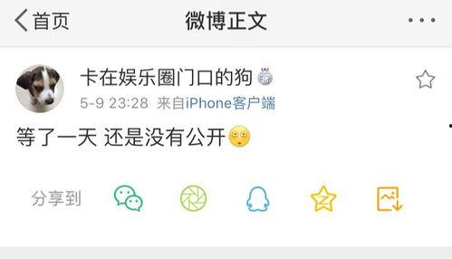 吃瓜爆料单,吃瓜爆料单背后的惊人真相  第1张