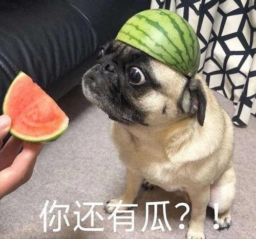 带你吃瓜抖音,抖音热门事件深度解析  第1张