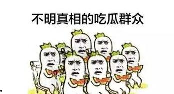 不如收租吃瓜小说,吃瓜看戏，笑看人生  第2张