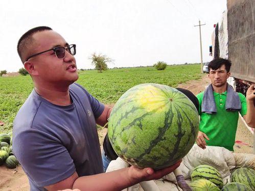 德宏吃瓜新闻视频大全,盘点那些引人入胜的短视频集锦 第2张 德宏吃瓜新闻视频大全,盘点那些引人入胜的短视频集锦 第2张