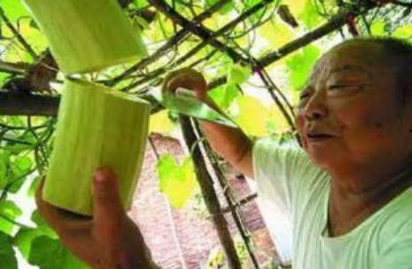 吃瓜被砍,吃瓜群众遭遇意外砍伤事件