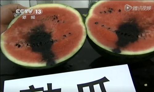 保定吃瓜相关视频,揭秘网络热传视频背后的故事  第2张