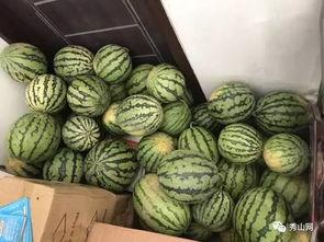 保定吃瓜相关视频,揭秘网络热传视频背后的故事  第3张