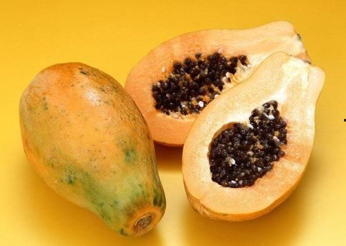 吃瓜的木瓜,揭秘吃瓜木瓜的独特魅力  第1张