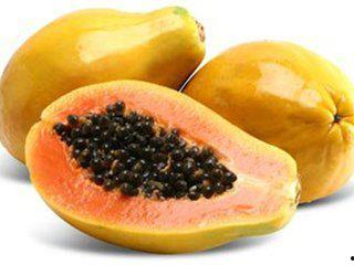 吃瓜的木瓜,揭秘吃瓜木瓜的独特魅力  第2张