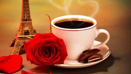 吃瓜群众玫瑰咖啡派对  第1张