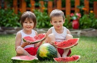 带你吃瓜人类小孩,跟随小孩的脚步探索人类世界  第3张