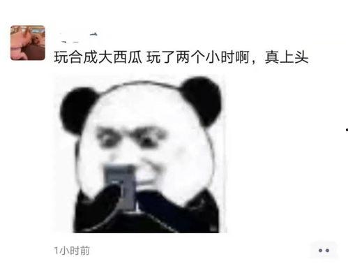 吃瓜放什么歌,盘点那些让人笑到肚子疼的搞笑歌曲  第3张