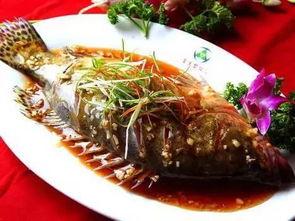 桂鱼吃瓜饵料鱼会吃吗,桂鱼对瓜饵料鱼的偏好探究  第3张