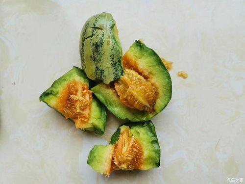忻州定襄吃瓜,夏日吃瓜盛宴，品味地方特色  第2张