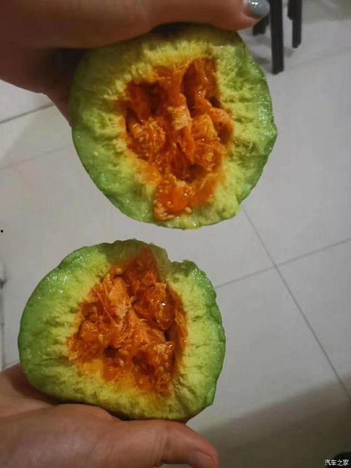 忻州定襄吃瓜,夏日吃瓜盛宴，品味地方特色  第3张