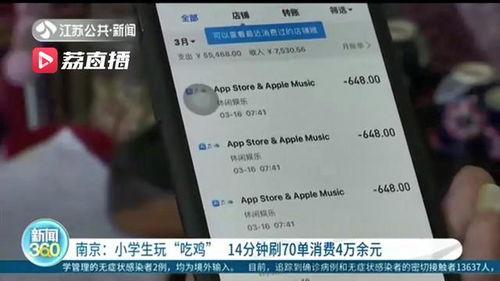 吃瓜小学生退款,退款之路的曲折与胜利