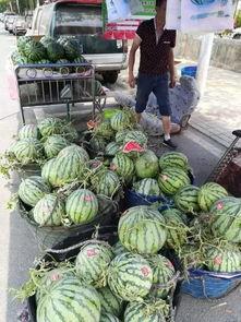 南京热点吃瓜事件,揭秘背后真相与网络热议  第3张